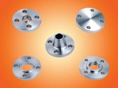 Casting & Forged Flanges