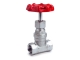 BT-GL (Globe valve 200psi)